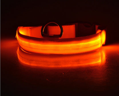 Pet Luminous Led Collar Night