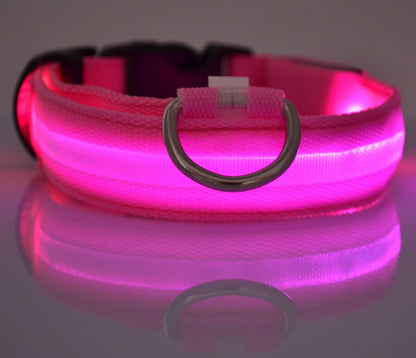 Pet Luminous Led Collar Night