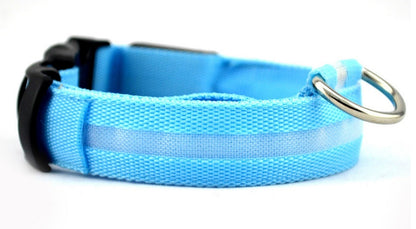 Pet Luminous LED Collar