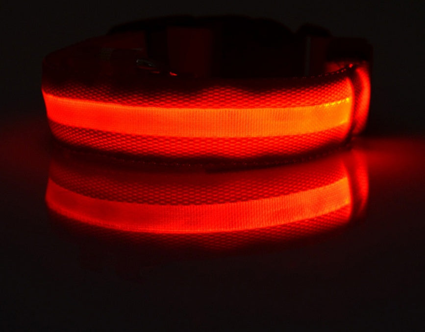 Pet Luminous Led Collar Night
