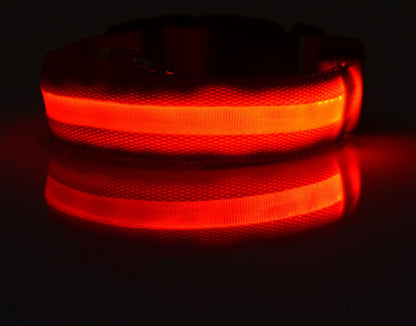 Pet Luminous Led Collar Night
