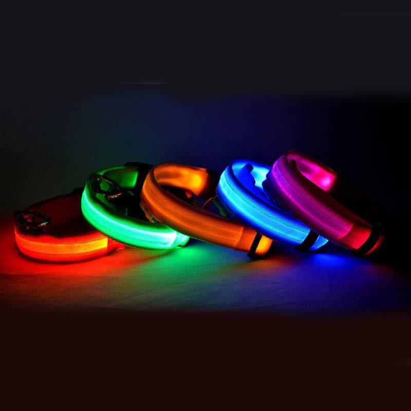 Pet Luminous Led Collar Night