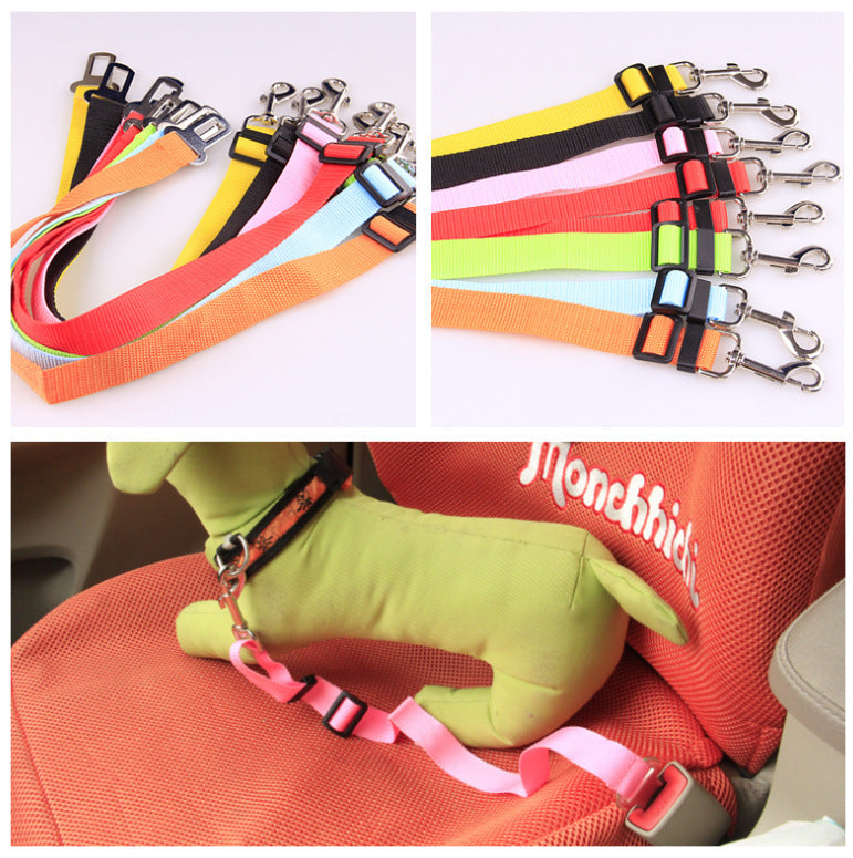 Fixed Polyester Dog Strap
