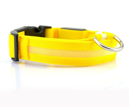 Pet Luminous Led Collar Night