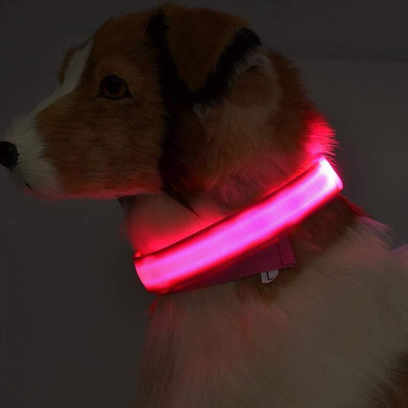 Pet Luminous Led Collar Night