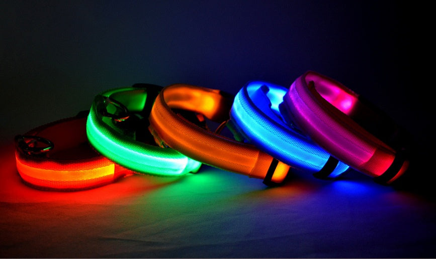 Pet Luminous Led Collar Night