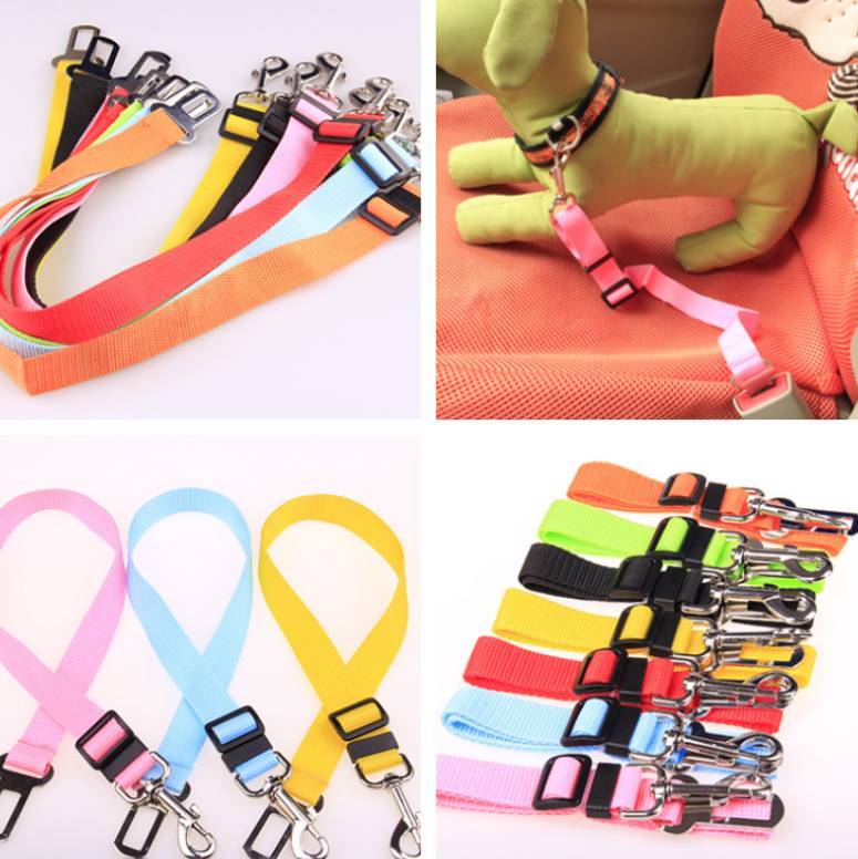 Fixed Polyester Dog Strap